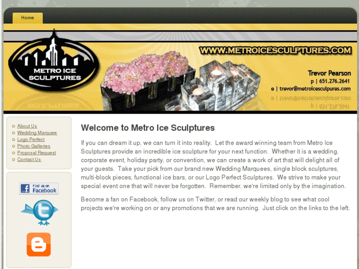 www.metroicesculptures.com