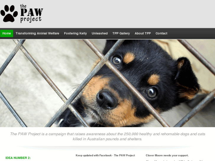 www.pawproject.com.au