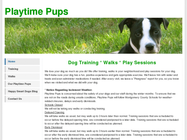 www.playtimepups.com