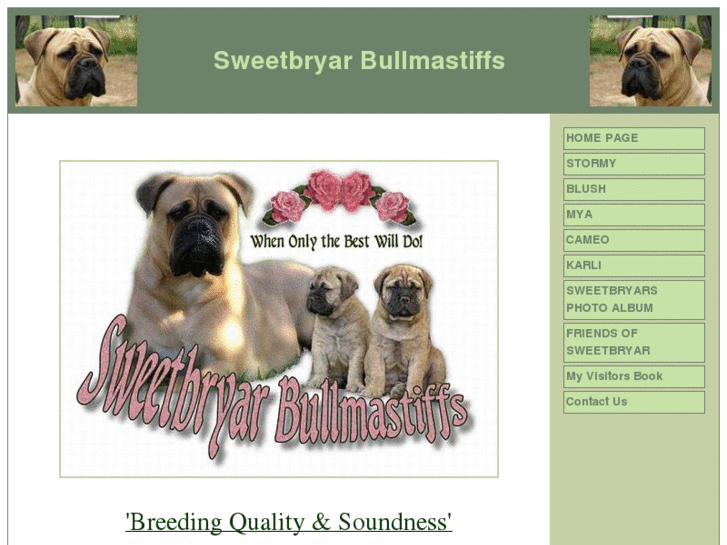 www.sweetbryarbullmastiffs.net