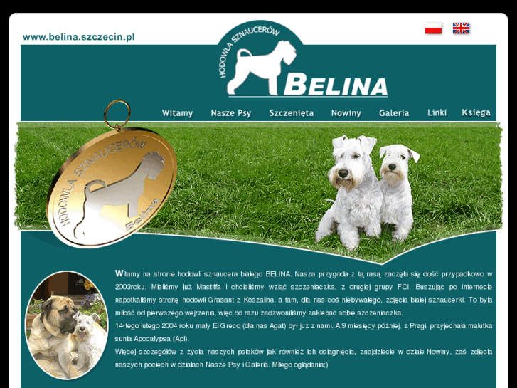 www.belina.szczecin.pl