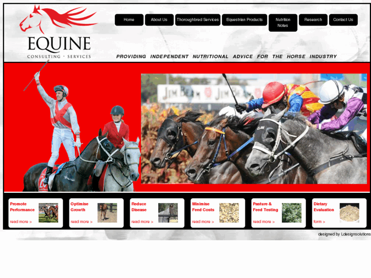 www.equineconsultingservices.com.au