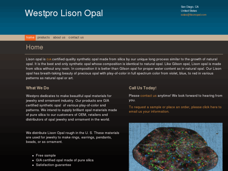 www.lisonopal.com