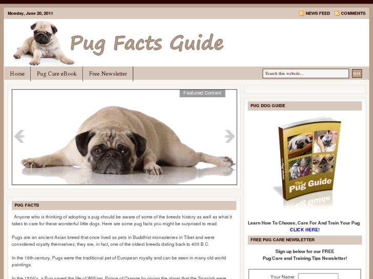 www.pugfactsguide.com