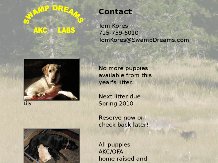 www.swampdreams.com