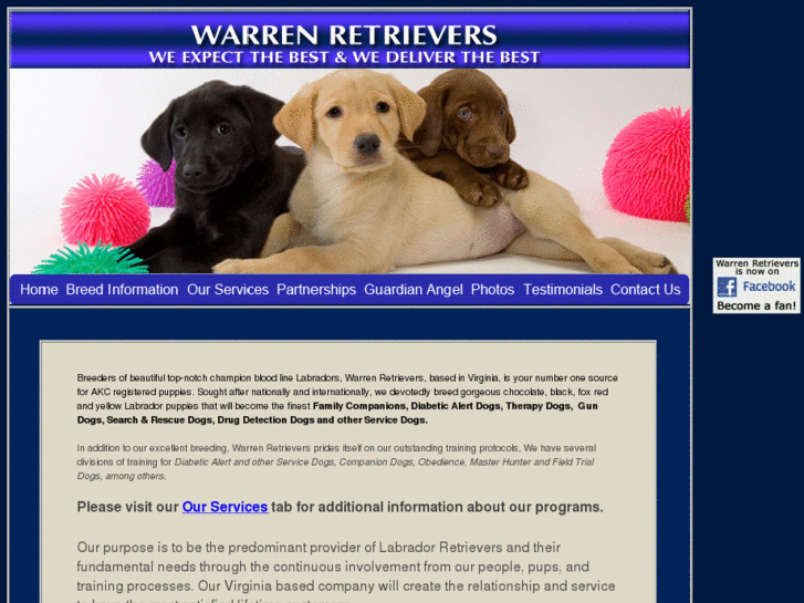 www.warrenretrievers.com