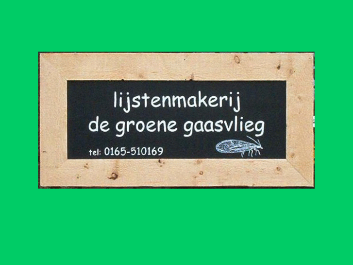 www.degroenegaasvlieg.nl