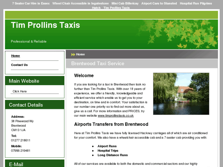www.timprollinstaxis.net