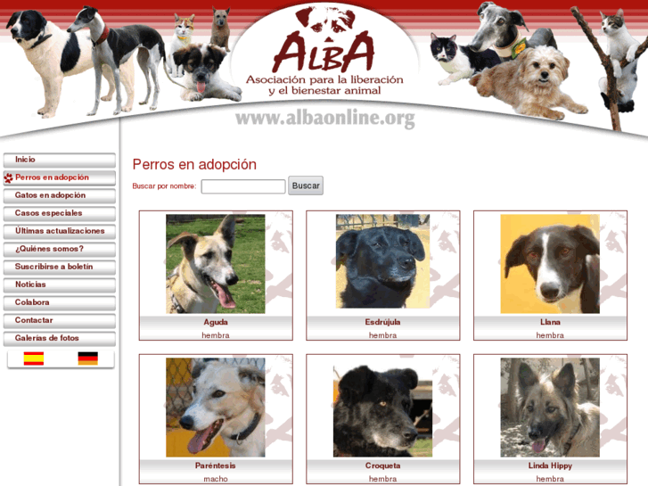 www.adoptaunperro.org
