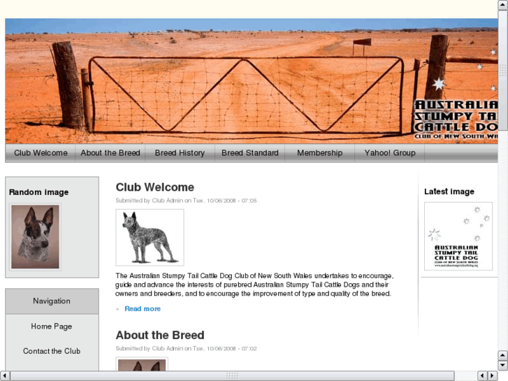www.australianstumpytailcattledog.org