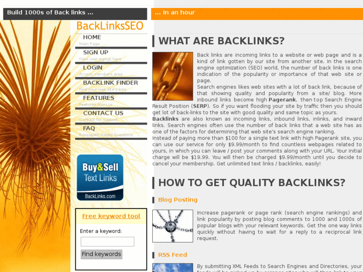 www.backlinksseo.com