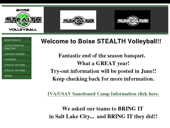 www.boisestealthvolleyball.com