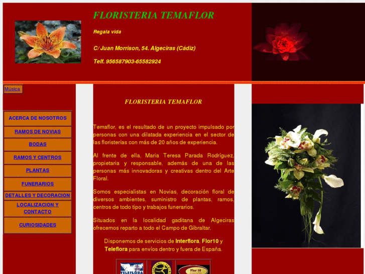 www.floristeriatemaflor.com