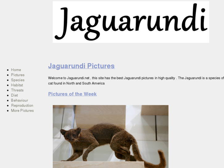 www.jaguarundi.net