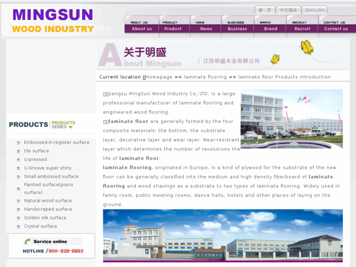 www.mingsun.com.cn