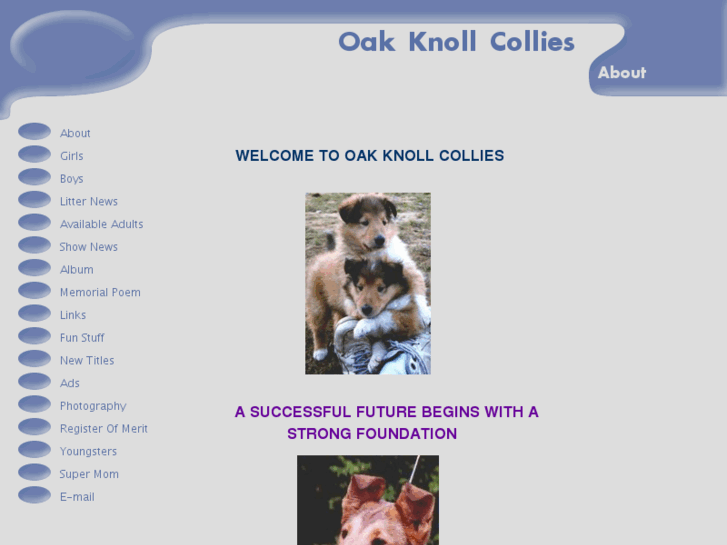 www.oakknollcollies.com