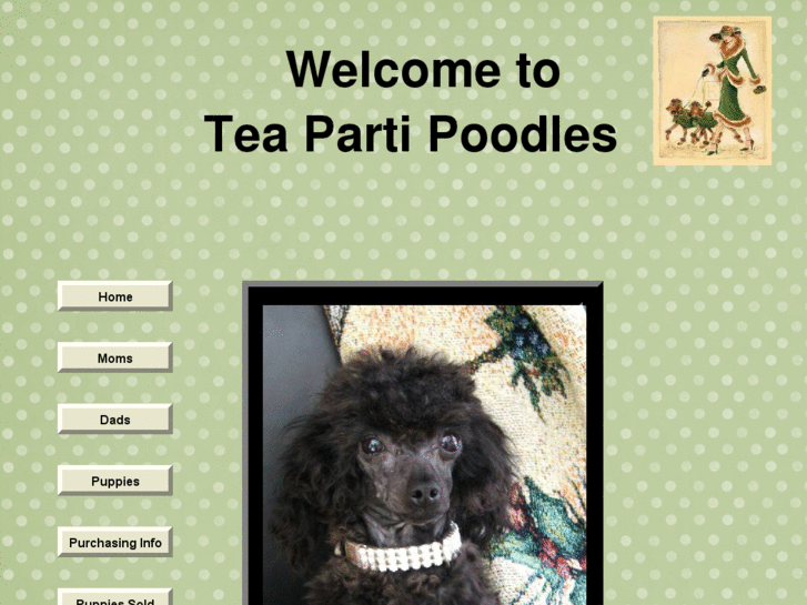 www.teapartipoodle.com