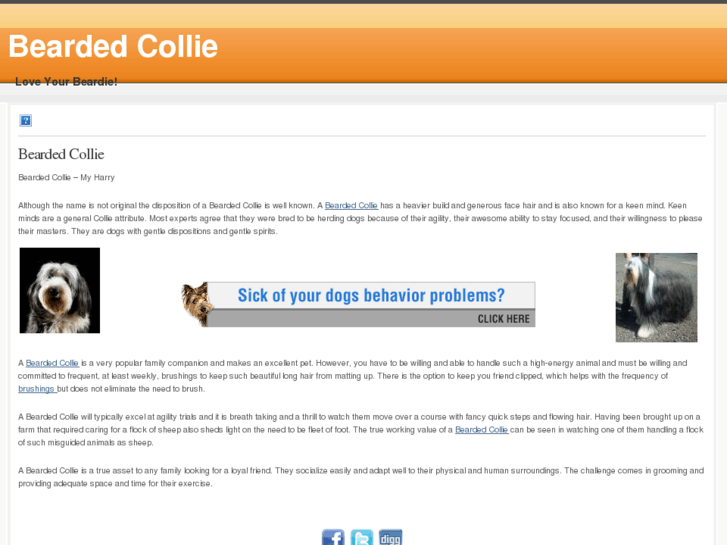 www.a-bearded-collie.com