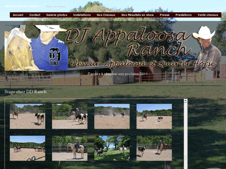 www.appaloosa-quarter-dj-ranch.com