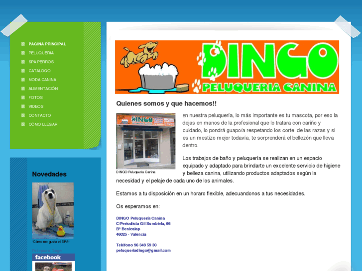 www.dingobenicalap.com