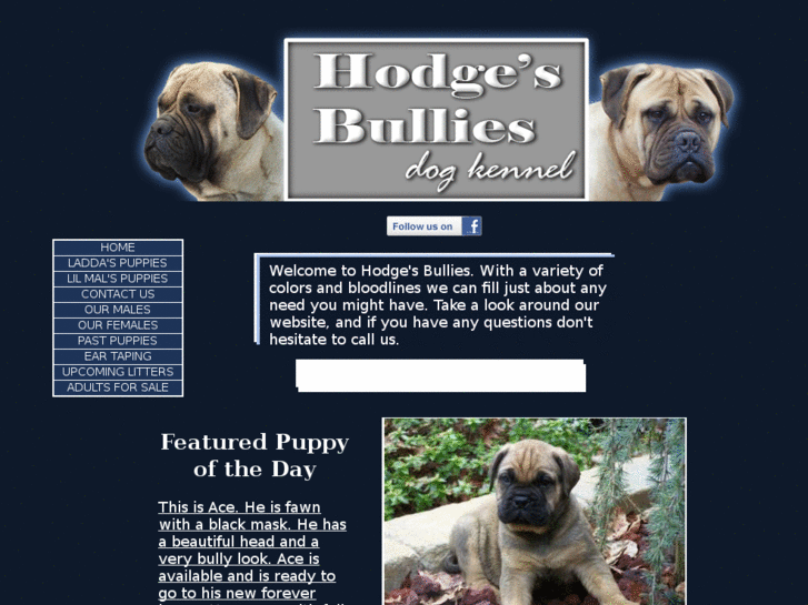 www.hodgesbullies.com