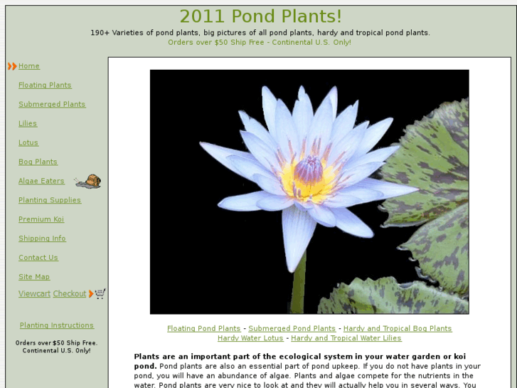 www.pondplants1.com