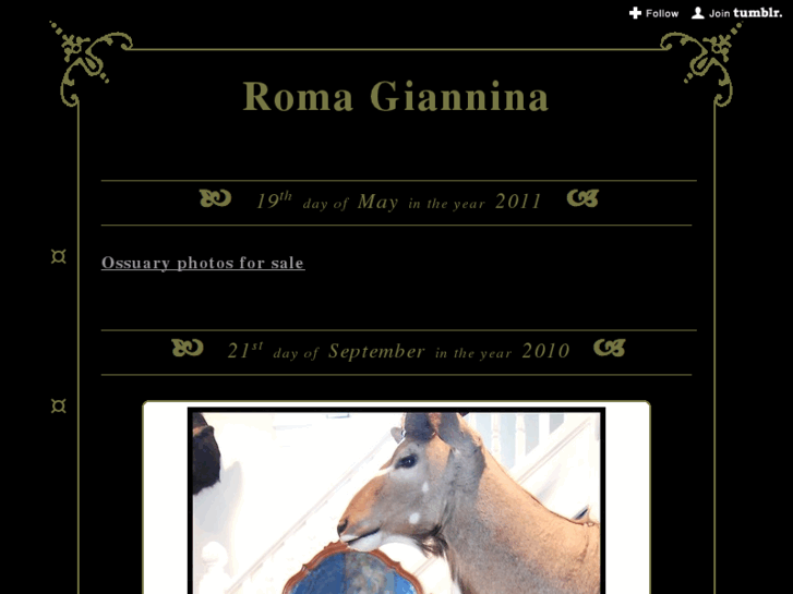 www.romagiannina.com