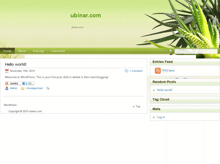 www.ubinar.com