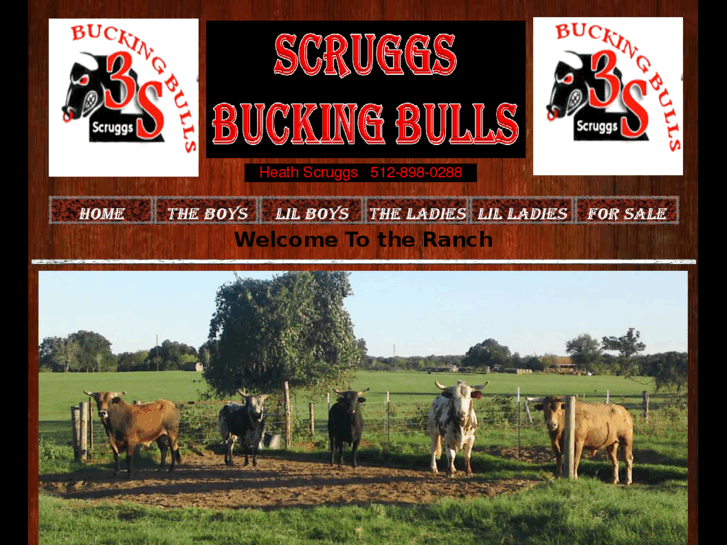 www.3sbuckingbulls.com