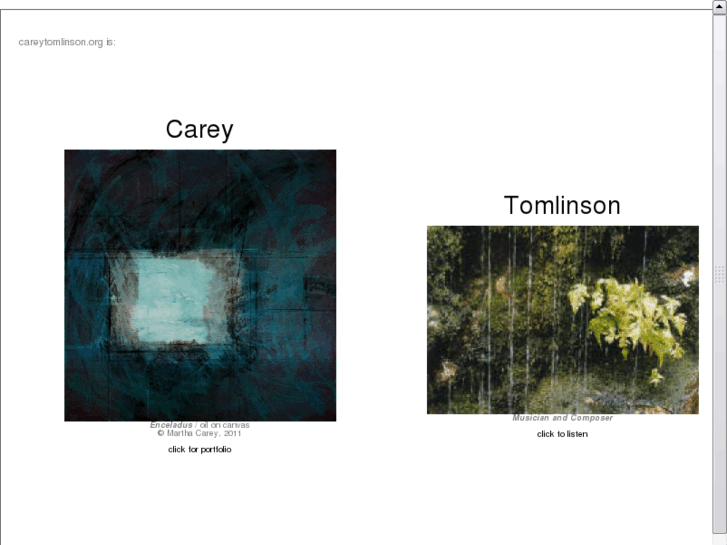 www.careytomlinson.org