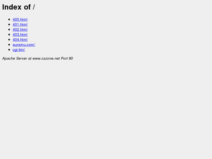 www.cszone.net