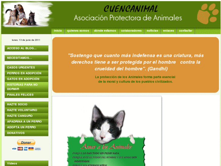 www.cuencanimal.com