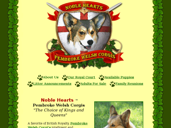 www.nobleheartscorgis.com