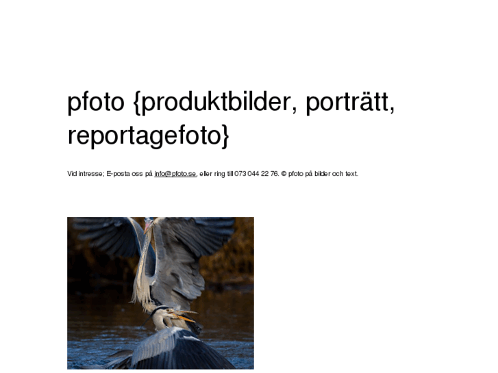 www.pfoto.se