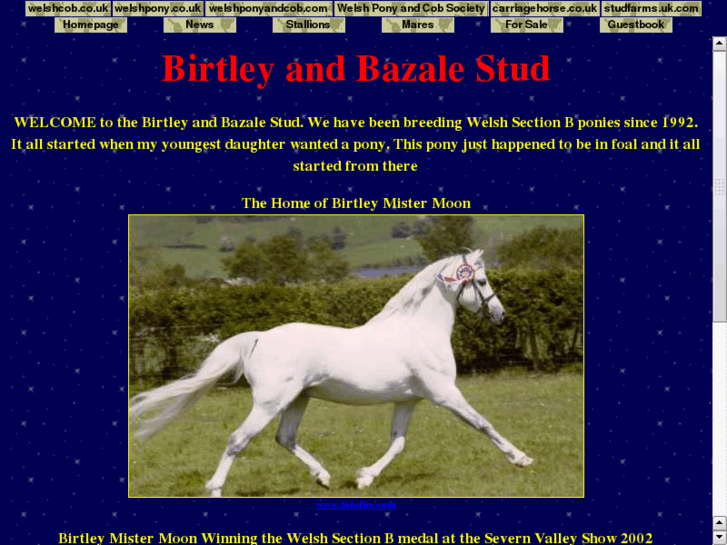 www.birtleyponies.com