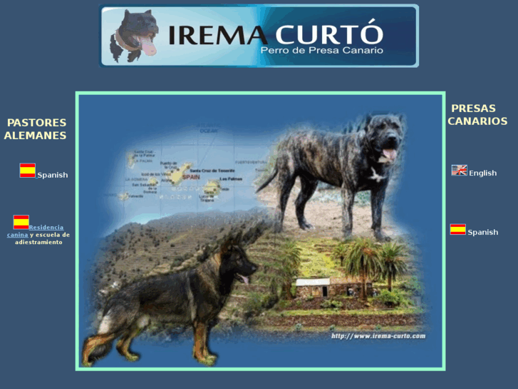 www.iremacurto.com