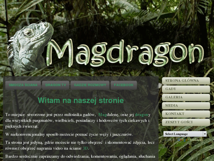 www.magdragon.com