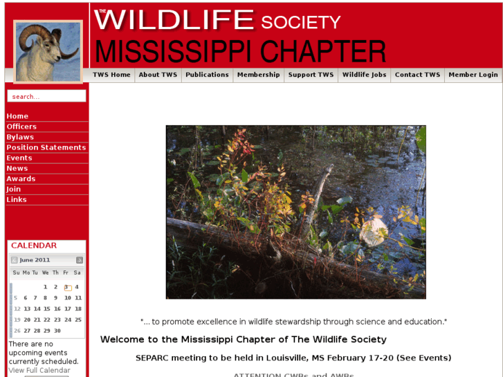 www.mstws.org