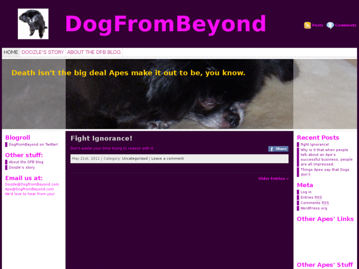 www.dogfrombeyond.com