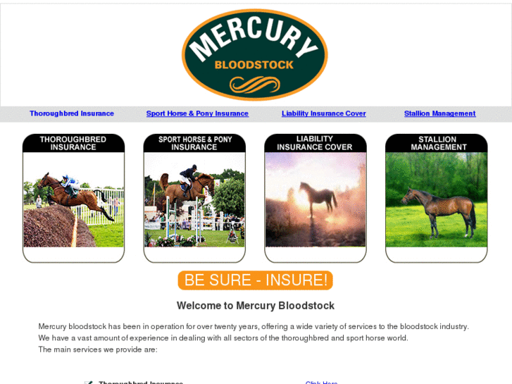 www.mercurybloodstock.com