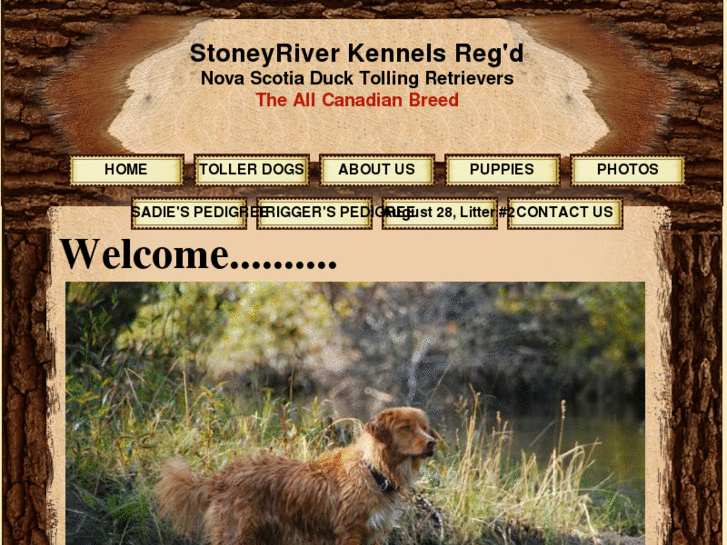 www.stoneyriverkennels.com