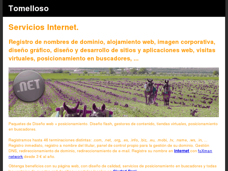 www.tomelloso.net