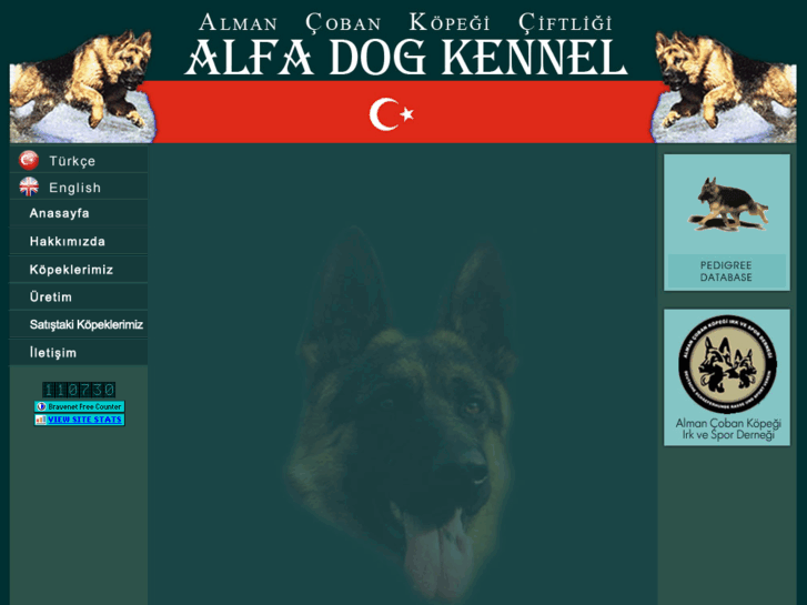 www.alfadogkennel.com