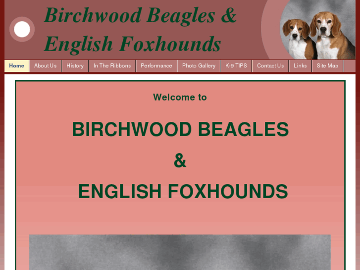 www.birchwoodbeagles.com