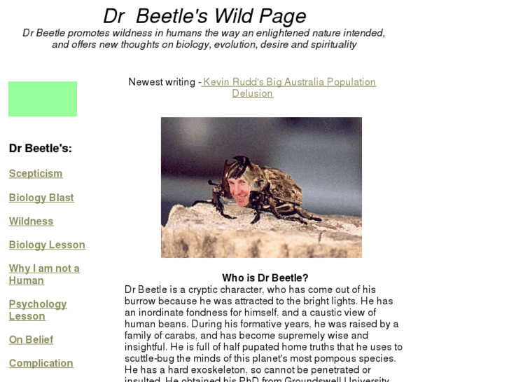 www.drbeetle.com