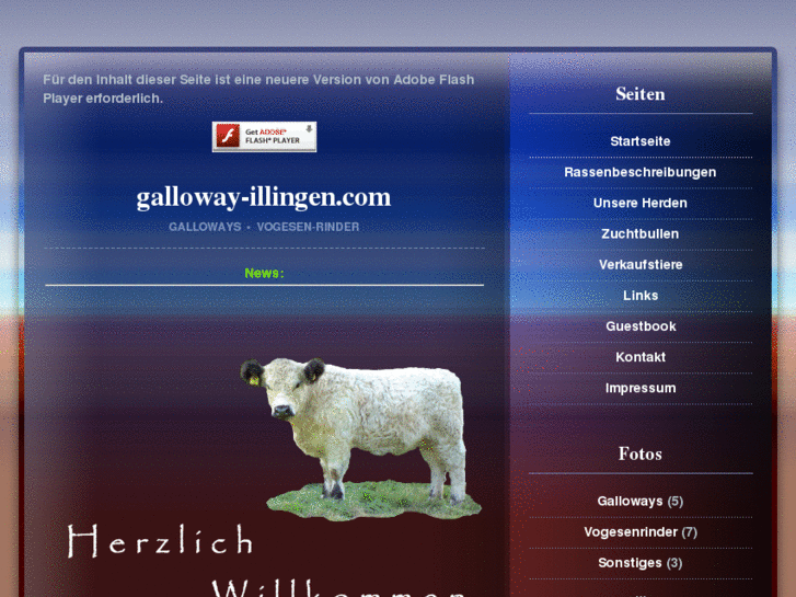 www.galloway-illingen.com