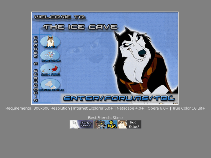 www.theicecave.org