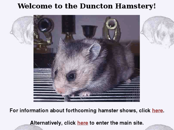 www.dunctonhams.com