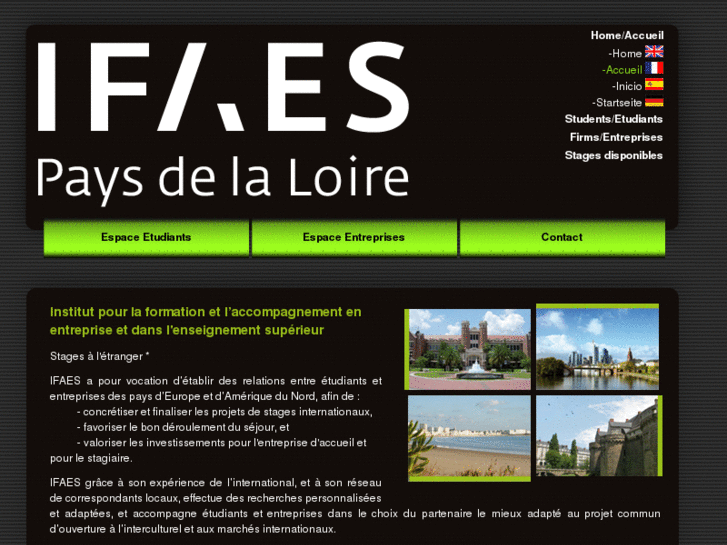 www.ifaes-placement.com