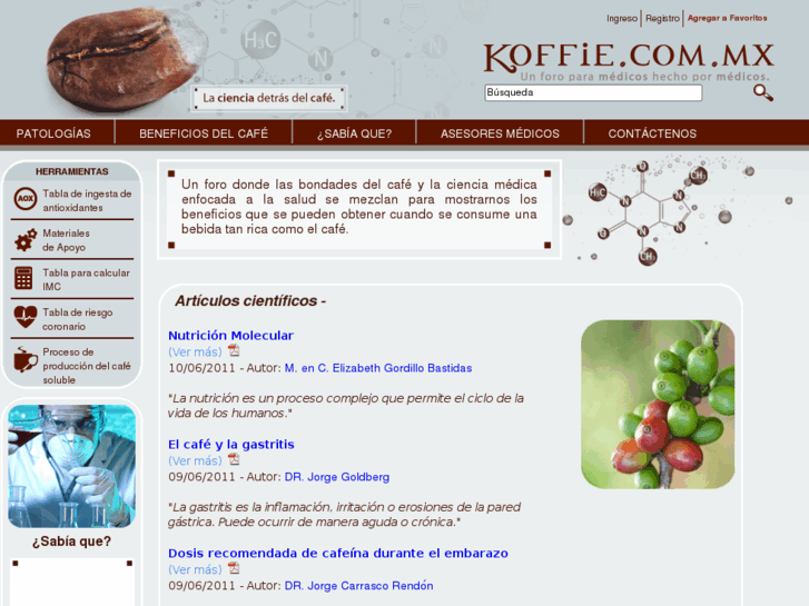 www.koffie.com.mx